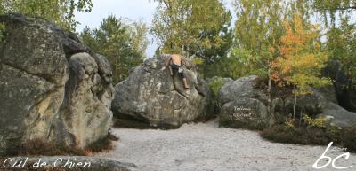 "Yellow Circuit" (3)